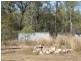 Gin Gin QLD 4671