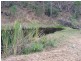 Lot 19 Stronachs Road, Horse Camp QLD 4671