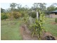 20 Iron Bark Cresent, Yandaran QLD 4673