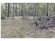 Lot 143 Newitts Road, Yandaran QLD 4673