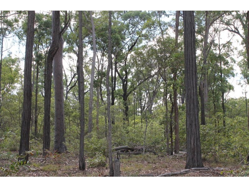 Lot 143 Newitts Road, Yandaran QLD 4673