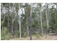 Lot 143 Newitts Road, Yandaran QLD 4673