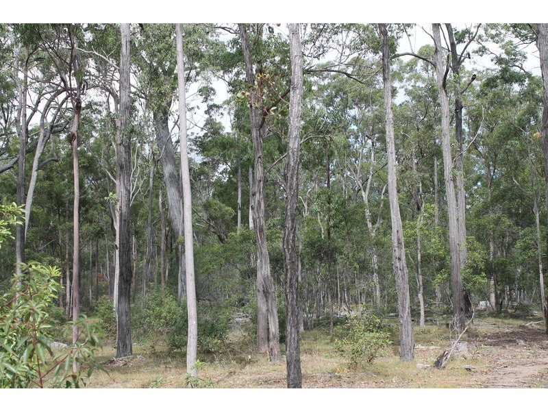 Lot 143 Newitts Road, Yandaran QLD 4673