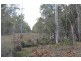 Lot 143 Newitts Road, Yandaran QLD 4673