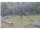 Lot 143 Newitts Road, Yandaran QLD 4673