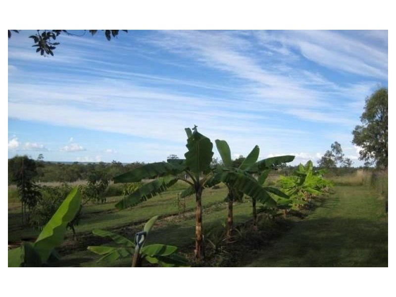 186 186 Martin Tobins Road, Horse Camp QLD 4671