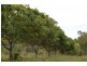 120 Gilgai Road, Delan QLD 4671