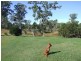 25 Bronzewing Court, Moolboolaman QLD 4671