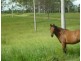 257 Sondergelds Road, Mcilwraith QLD 4671