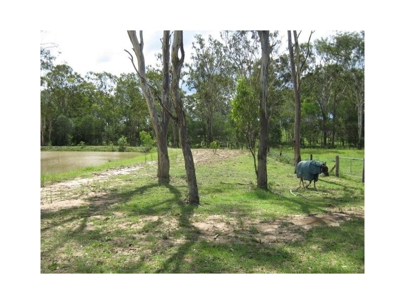 56 Sheppard Avenue, Bucca QLD 4670