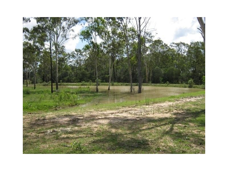 56 Sheppard Avenue, Bucca QLD 4670