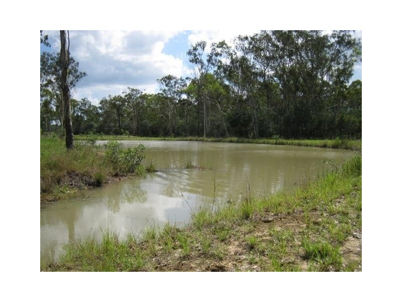 56 Sheppard Avenue, Bucca QLD 4670