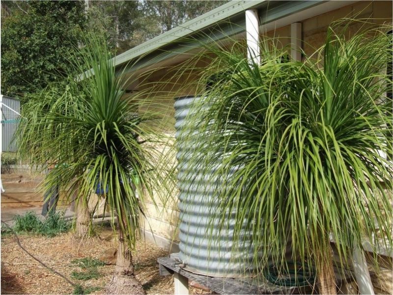 Gin Gin QLD 4671