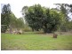 117 Lenihans Road, Electra QLD 4670