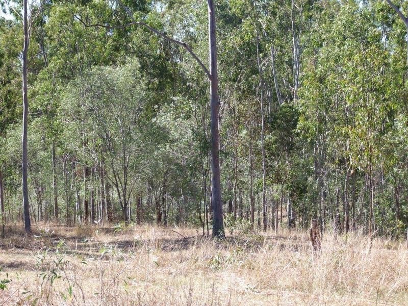 15 Curlew Court, Moolboolaman QLD 4671