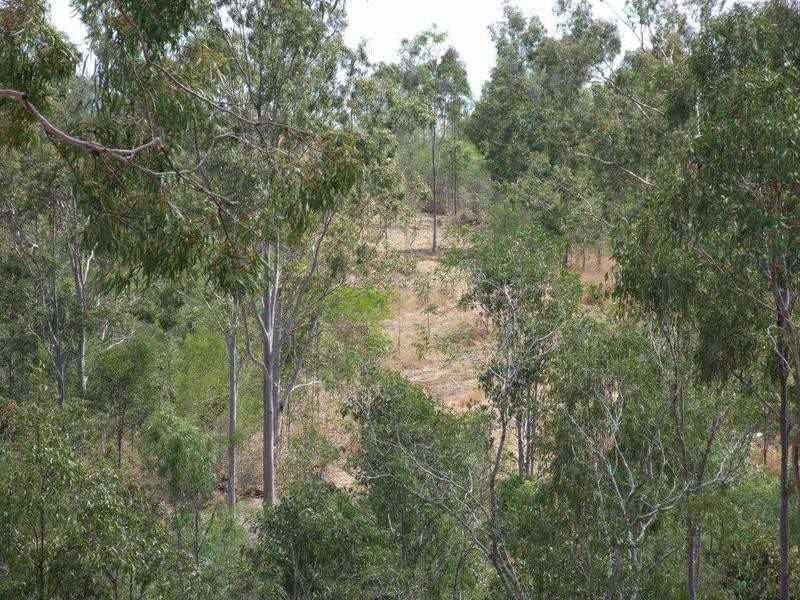 15 Curlew Court, Moolboolaman QLD 4671