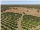 27790 Bruce Highway, Isis River QLD 4660