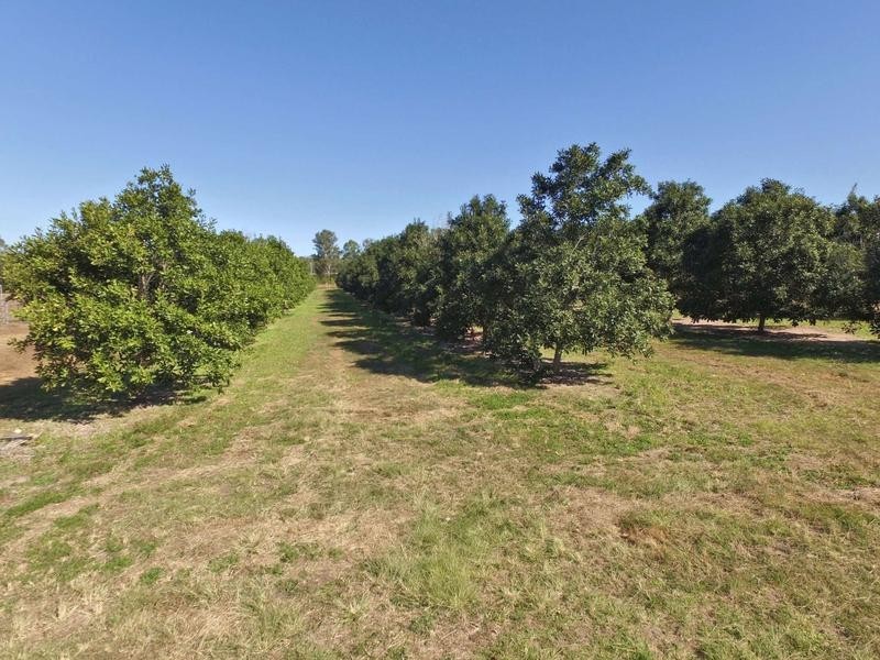 27790 Bruce Highway, Isis River QLD 4660