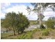 247 Back Electra Road, Electra QLD 4670