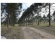 247 Back Electra Road, Electra QLD 4670
