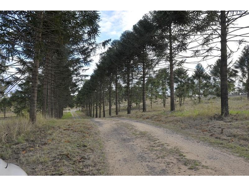 247 Back Electra Road, Electra QLD 4670