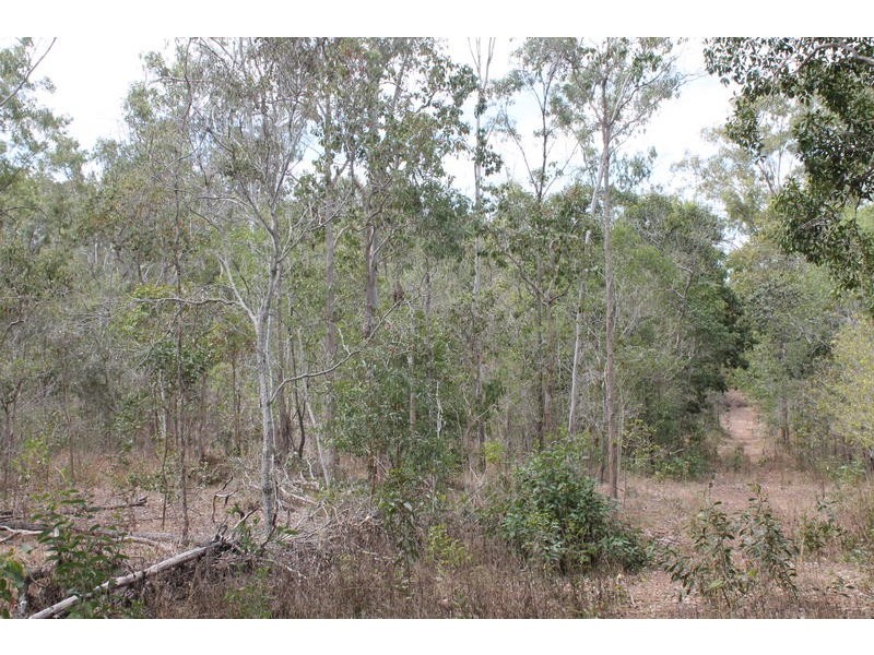 755 Hills Road, Mount Maria QLD 4674