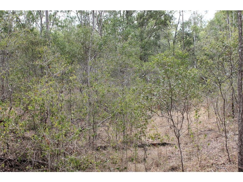 755 Hills Road, Mount Maria QLD 4674