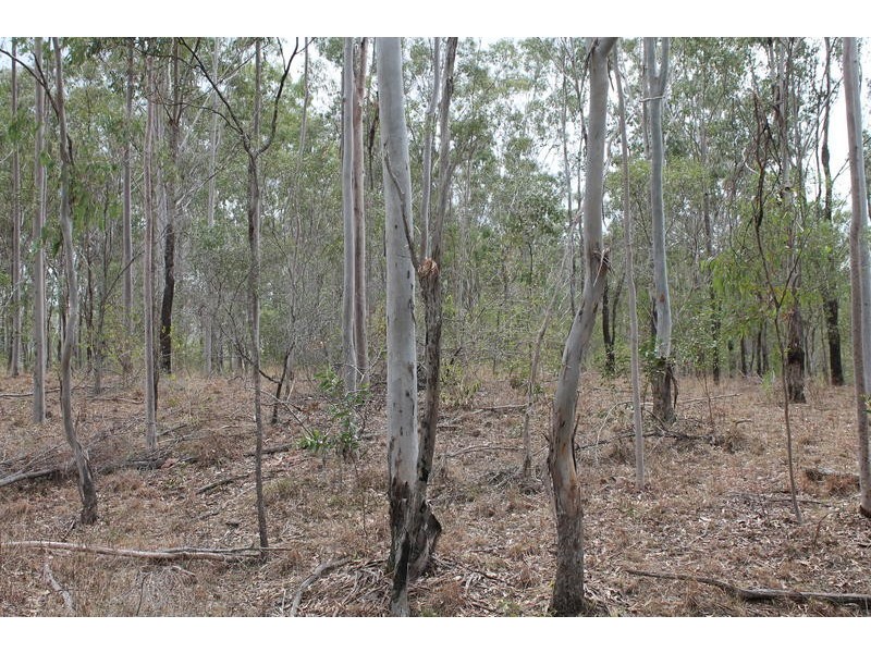 755 Hills Road, Mount Maria QLD 4674