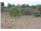 755 Hills Road, Mount Maria QLD 4674
