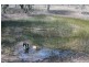 74 Rounds Road, Bucca QLD 4670