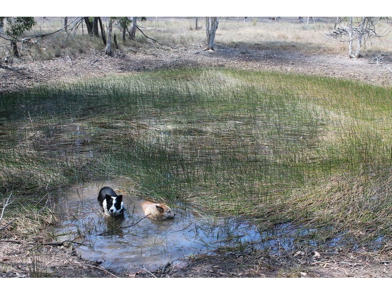 74 Rounds Road, Bucca QLD 4670