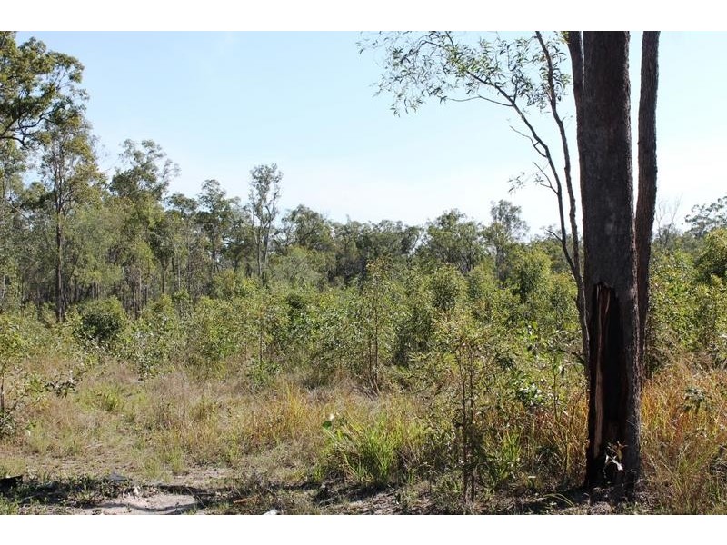 67 Walkers Road, South Bingera QLD 4670