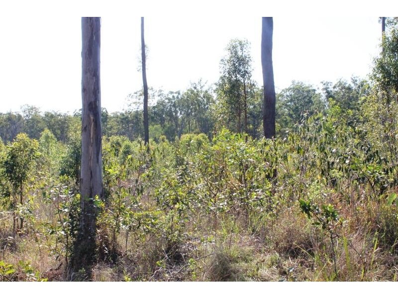 67 Walkers Road, South Bingera QLD 4670