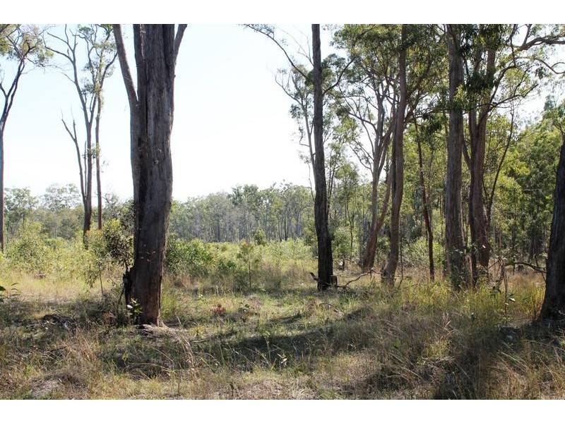 67 Walkers Road, South Bingera QLD 4670