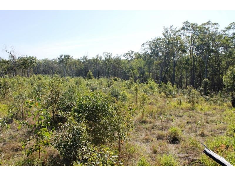 67 Walkers Road, South Bingera QLD 4670