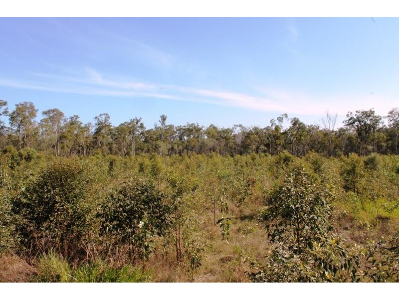 67 Walkers Road, South Bingera QLD 4670