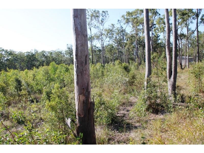 67 Walkers Road, South Bingera QLD 4670