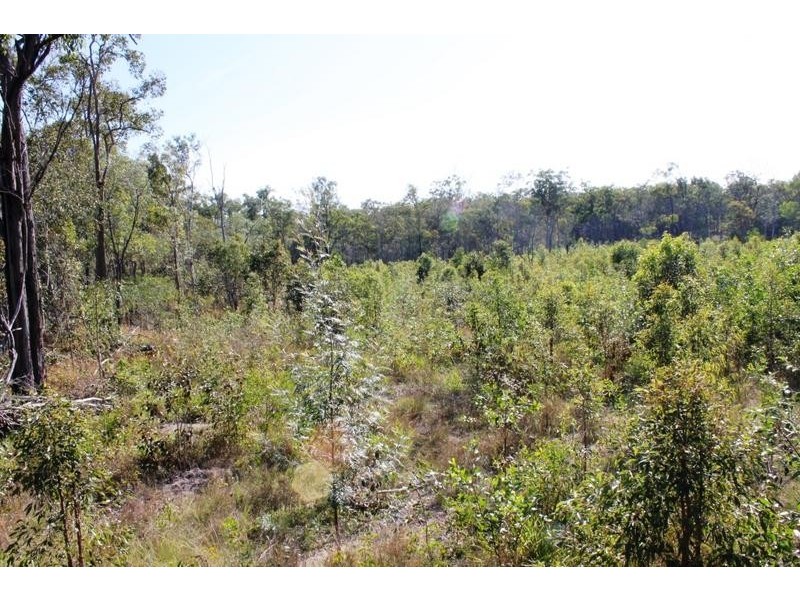 67 Walkers Road, South Bingera QLD 4670