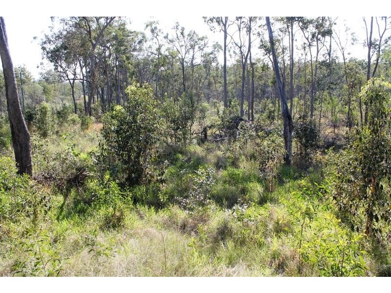 67 Walkers Road, South Bingera QLD 4670