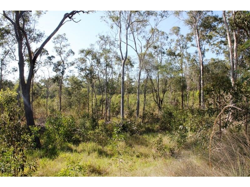 67 Walkers Road, South Bingera QLD 4670