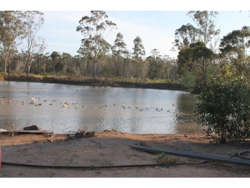 573 Bucca Road, Bucca QLD 4670