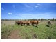 421 Grills Road, Dallarnil QLD 4621