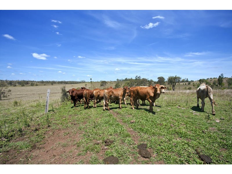 421 Grills Road, Dallarnil QLD 4621