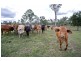 182 Rows Off Road, Duingal QLD 4671