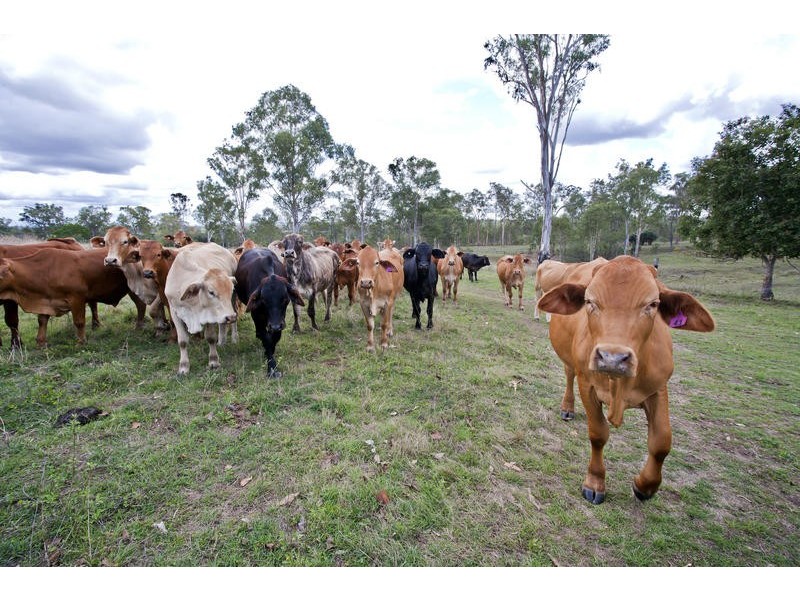 182 Rows Off Road, Duingal QLD 4671