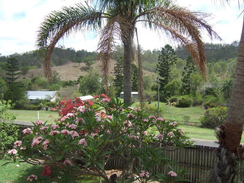 14 Williams Street, Mount Perry QLD 4671