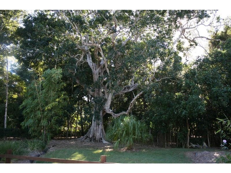 Moore Park Beach QLD 4670