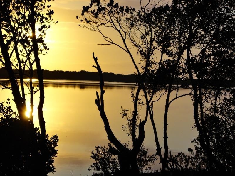 Winfield QLD 4670