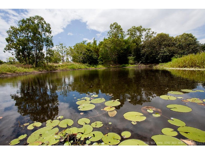 119 Gilgai Road, Delan QLD 4671