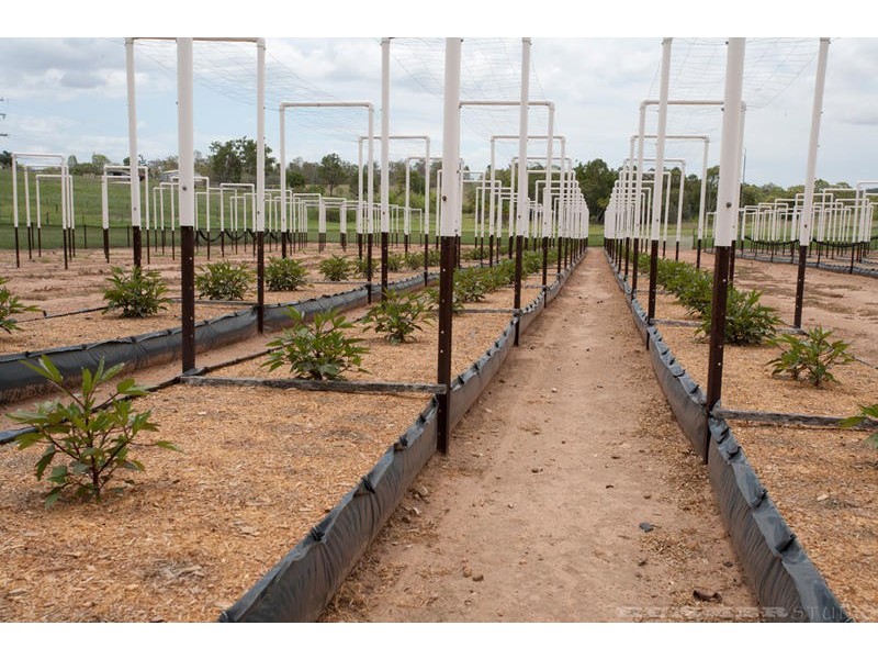 119 Gilgai Road, Delan QLD 4671